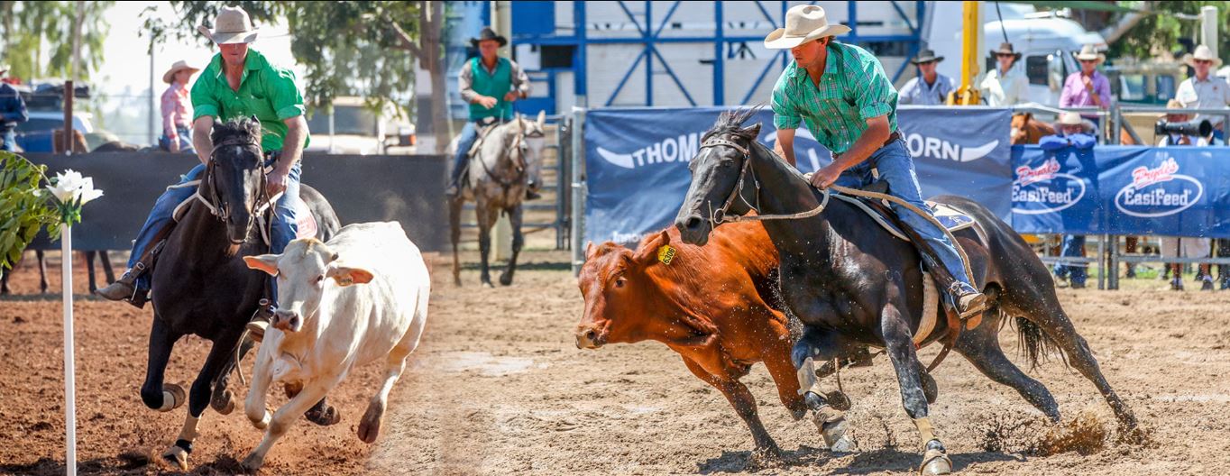 Campdrafting Australia